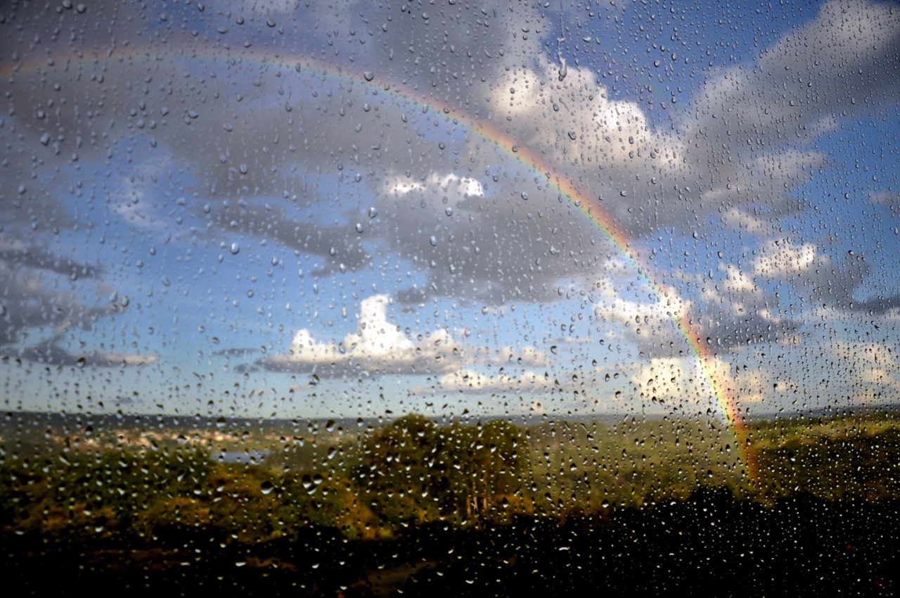 Foto de um arco-iris na chuva